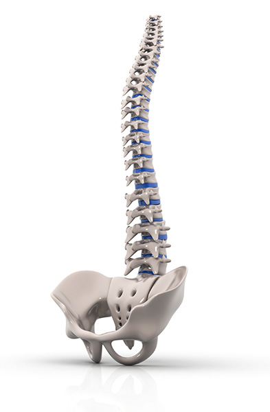 Preventive spinal health care at E320 Chiropractic